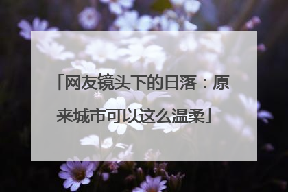 网友镜头下的日落：原来城市可以这么温柔