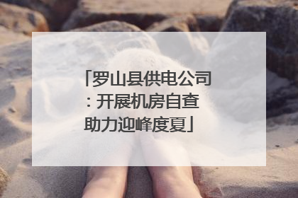 罗山县供电公司：开展机房自查 助力迎峰度夏