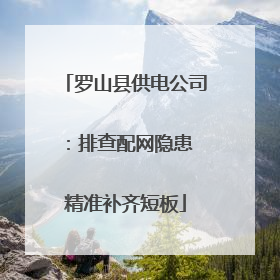 罗山县供电公司：排查配网隐患 精准补齐短板