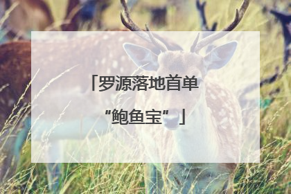 罗源落地首单“鲍鱼宝”