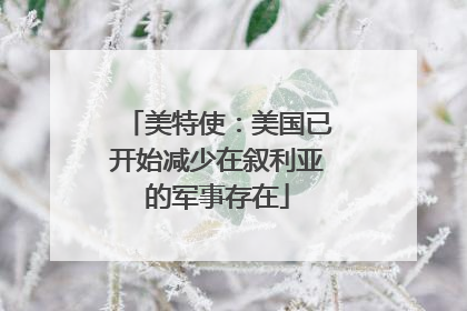 美特使：美国已开始减少在叙利亚的军事存在