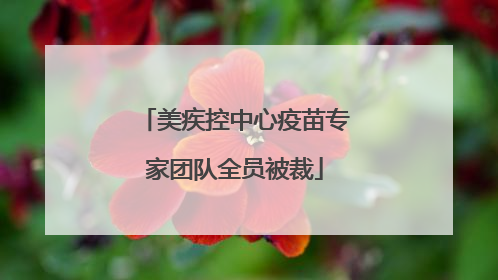 美疾控中心疫苗专家团队全员被裁