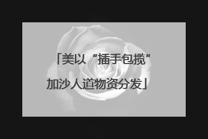 美以“插手包揽”加沙人道物资分发
