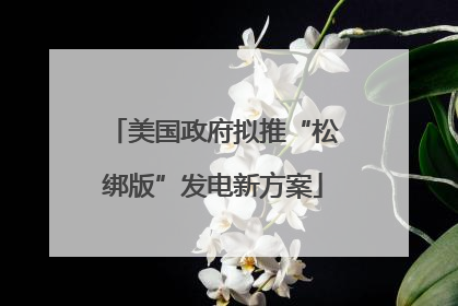 美国政府拟推“松绑版”发电新方案
