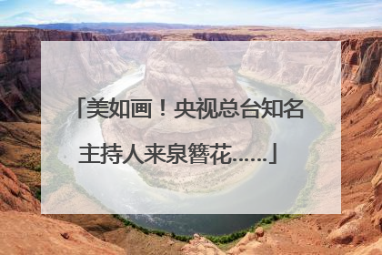 美如画！央视总台知名主持人来泉簪花……