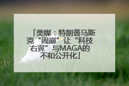 美媒：特朗普马斯克“闹崩”让“科技右翼”与MAGA的不和公开化