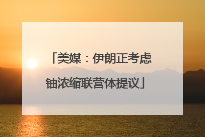 美媒：伊朗正考虑铀浓缩联营体提议