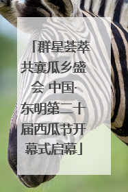 群星荟萃共襄瓜乡盛会 中国·东明第二十届西瓜节开幕式启幕