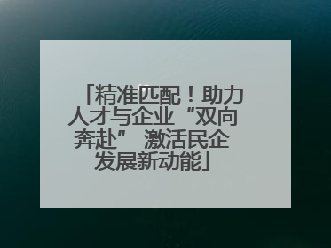 精准匹配！助力人才与企业“双向奔赴” 激活民企发展新动能