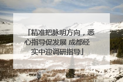 精准把脉明方向，悉心指导促发展 成都经实中迎调研指导