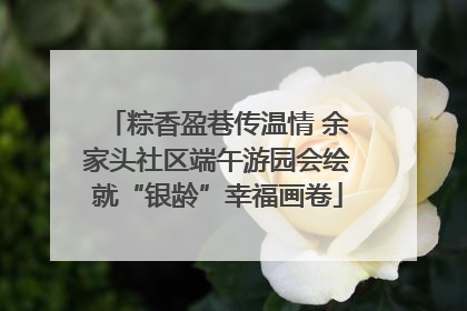 粽香盈巷传温情 余家头社区端午游园会绘就“银龄”幸福画卷