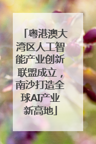 粤港澳大湾区人工智能产业创新联盟成立，南沙打造全球AI产业新高地