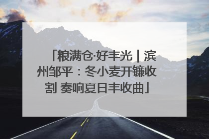 粮满仓·好丰光｜滨州邹平：冬小麦开镰收割 奏响夏日丰收曲