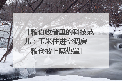 粮食收储里的科技范儿：玉米住进空调房 粮仓披上隔热罩