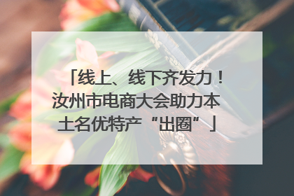 线上、线下齐发力！汝州市电商大会助力本土名优特产“出圈”