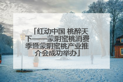 红动中国 桃醉天下——蒙阴蜜桃消费季暨蒙阴蜜桃产业推介会成功举办