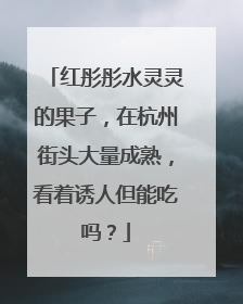 红彤彤水灵灵的果子，在杭州街头大量成熟，看着诱人但能吃吗？