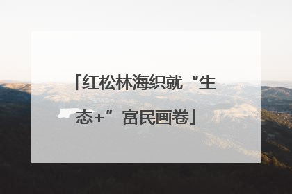 红松林海织就“生态+”富民画卷