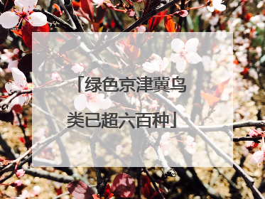 绿色京津冀鸟类已超六百种