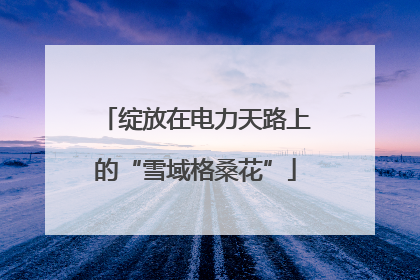 绽放在电力天路上的“雪域格桑花”