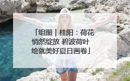 组图｜桂阳：荷花悄然绽放 碧波荷叶绘就美好夏日画卷