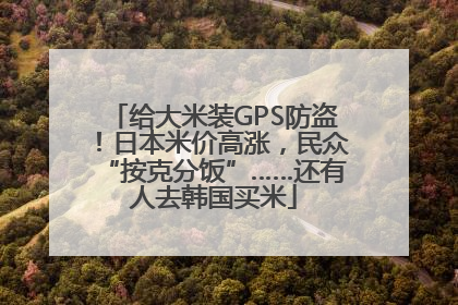 给大米装GPS防盗！日本米价高涨，民众“按克分饭”……还有人去韩国买米