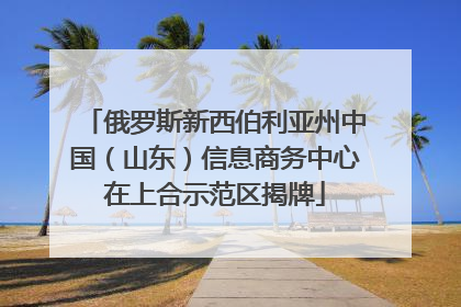 俄罗斯新西伯利亚州中国（山东）信息商务中心在上合示范区揭牌