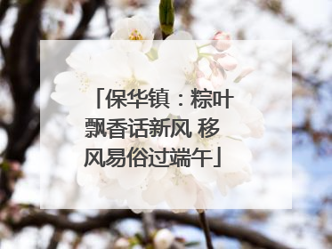 保华镇：粽叶飘香话新风 移风易俗过端午