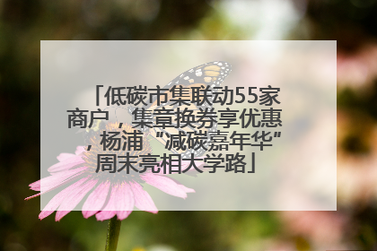 低碳市集联动55家商户，集章换券享优惠，杨浦“减碳嘉年华”周末亮相大学路