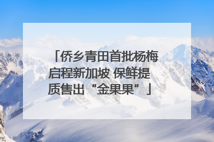 侨乡青田首批杨梅启程新加坡 保鲜提质售出“金果果”