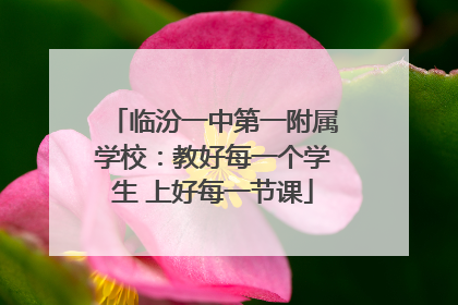 临汾一中第一附属学校：教好每一个学生 上好每一节课