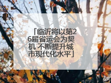 临沂将以第26届省运会为契机 不断提升城市现代化水平