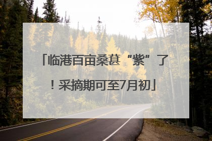 临港百亩桑葚“紫”了！采摘期可至7月初