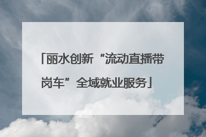 丽水创新“流动直播带岗车”全域就业服务