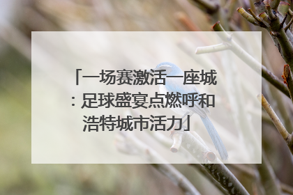一场赛激活一座城：足球盛宴点燃呼和浩特城市活力