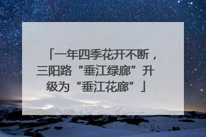 一年四季花开不断，三阳路“垂江绿廊”升级为“垂江花廊”