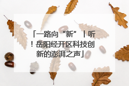 一路向“新”丨听！岳阳经开区科技创新的澎湃之声