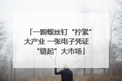 一颗螺丝钉“拧紧”大产业 一张电子凭证“链起”大市场