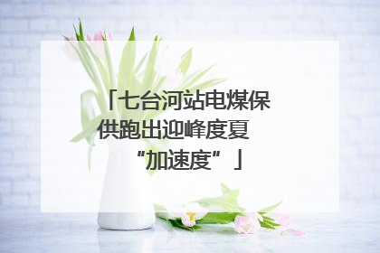 七台河站电煤保供跑出迎峰度夏 “加速度”