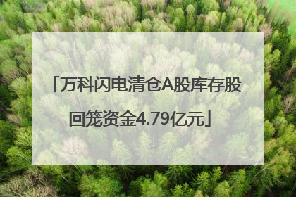 万科闪电清仓A股库存股 回笼资金4.79亿元