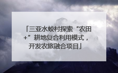 三亚水蛟村探索“农田+”耕地复合利用模式，开发农旅融合项目