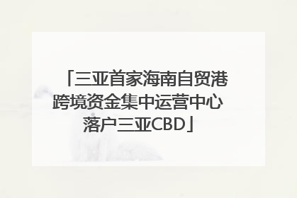 三亚首家海南自贸港跨境资金集中运营中心落户三亚CBD