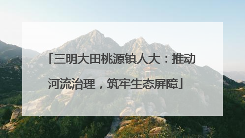 三明大田桃源镇人大：推动河流治理，筑牢生态屏障