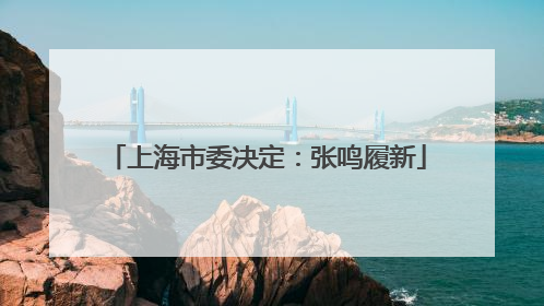 上海市委决定：张鸣履新
