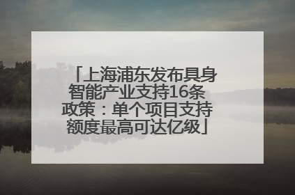 上海浦东发布具身智能产业支持16条政策：单个项目支持额度最高可达亿级