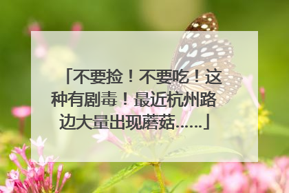 不要捡！不要吃！这种有剧毒！最近杭州路边大量出现蘑菇……