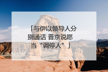 与伊以领导人分别通话 普京说愿当“调停人”