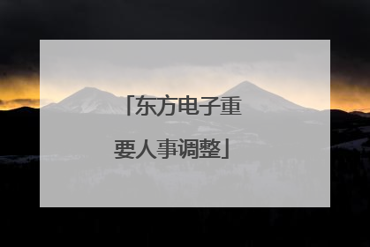 东方电子重要人事调整