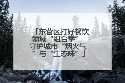 东营区打好餐饮领域“组合拳” 守护城市“烟火气”与“生态味”