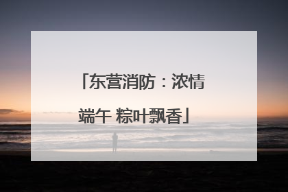 东营消防：浓情端午 粽叶飘香